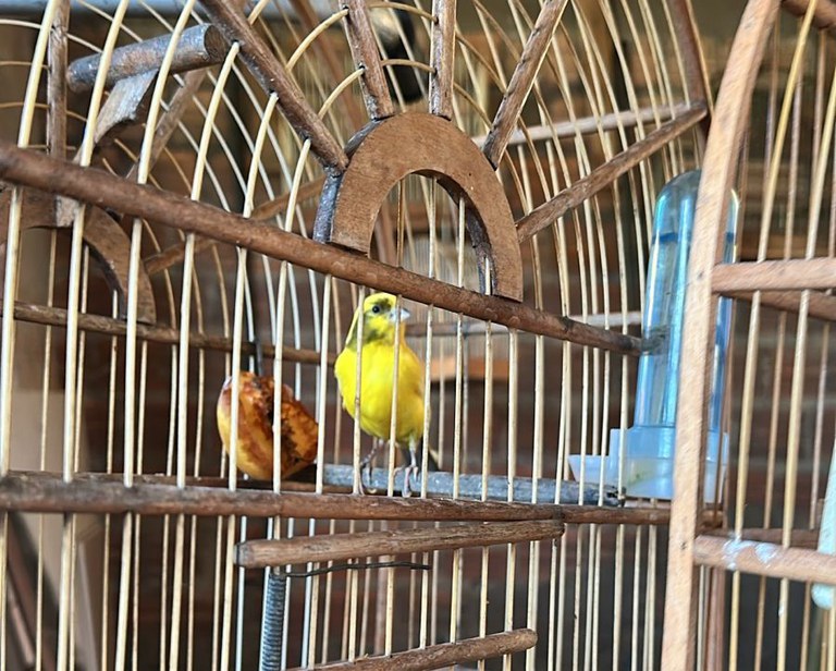 WhatsApp Image 2025-05-06 at 10.56.11.jpeg