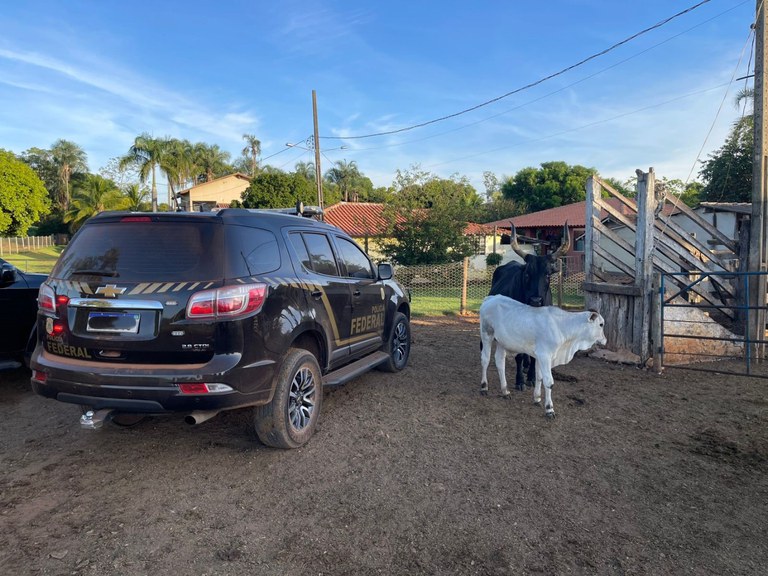 WhatsApp Image 2025-05-21 at 07.56.31.jpeg