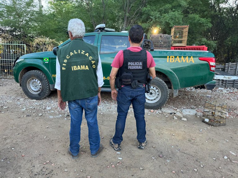 WhatsApp Image 2025-05-07 at 17.31.38.jpeg