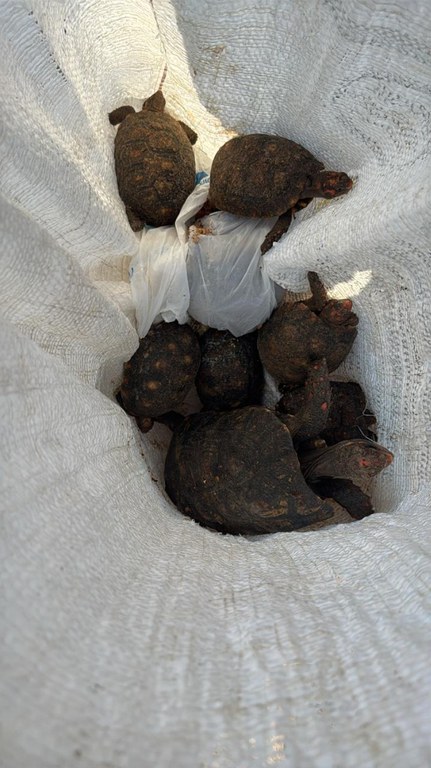 WhatsApp Image 2025-05-07 at 17.31.39 (1).jpeg