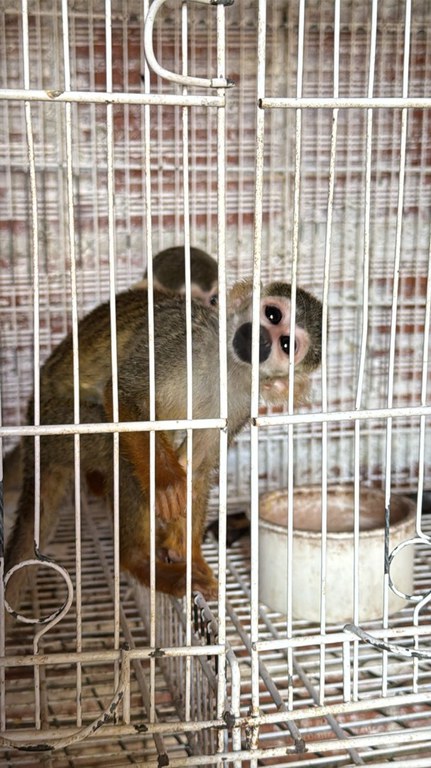 WhatsApp Image 2025-05-07 at 17.31.39.jpeg