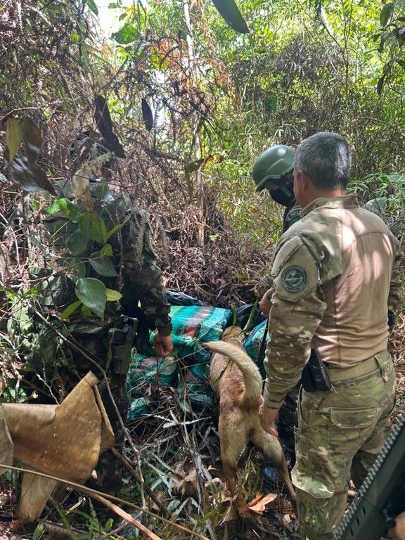 084d4f37-0c2c-4970-acc1-1e441bdd7ab5.jfif