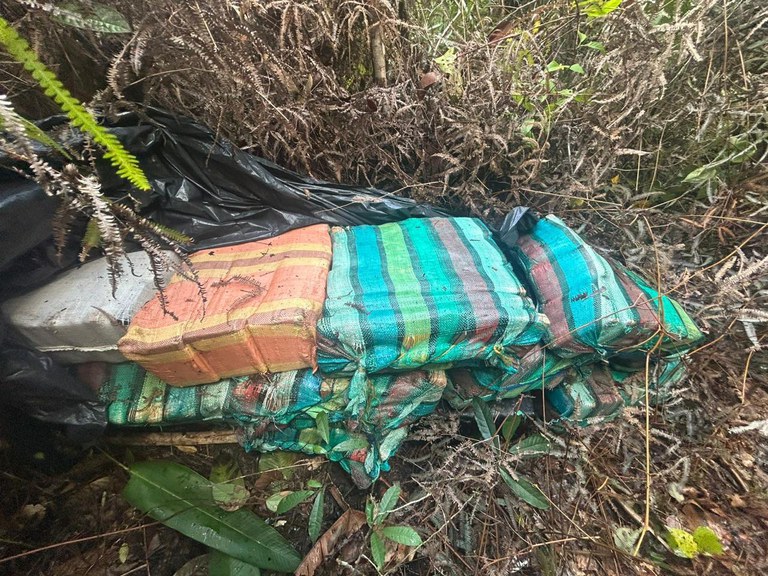 487eb6ed-091b-4cc9-9d1d-b9a882c68bc9.jfif