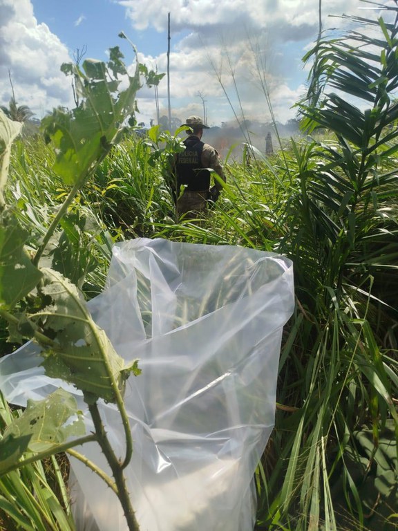 WhatsApp Image 2025-05-15 at 19.28.51.jpeg