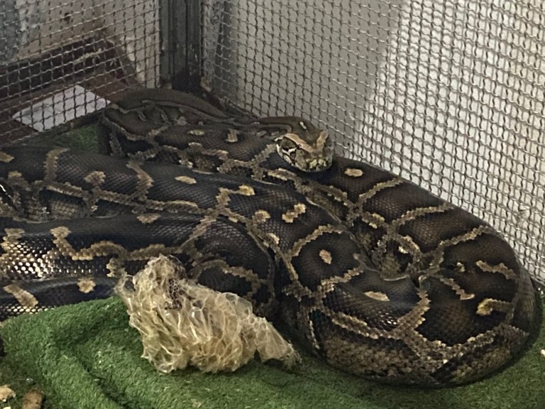 WhatsApp Image 2025-05-08 at 13.57.53.jpeg