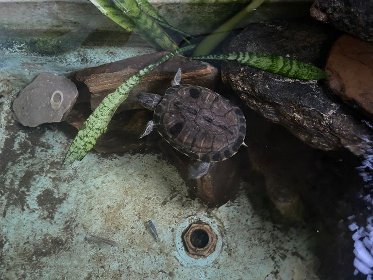 WhatsApp Image 2025-05-08 at 13.57.54 (1).jpeg