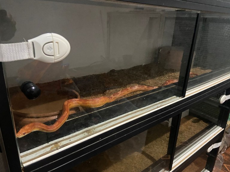 WhatsApp Image 2025-05-08 at 13.57.54.jpeg