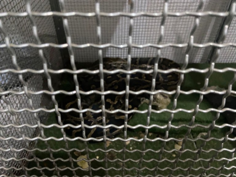 WhatsApp Image 2025-05-08 at 13.57.56.jpeg