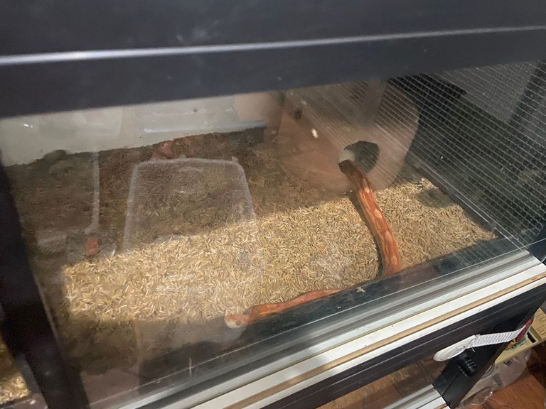 WhatsApp Image 2025-05-08 at 13.57.57.jpeg