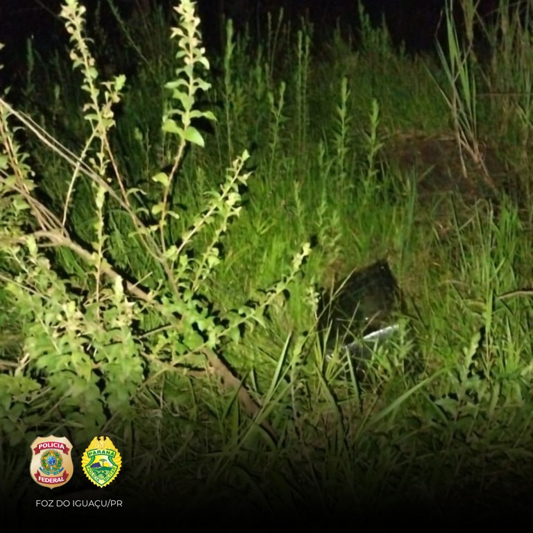 WhatsApp Image 2025-05-16 at 17.19.15.jpeg