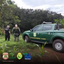 WhatsApp Image 2025-05-07 at 17.49.28.jpeg