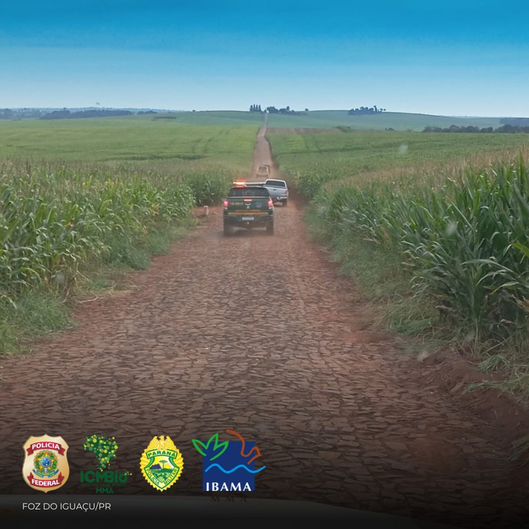 WhatsApp Image 2025-05-07 at 17.49.29.jpeg