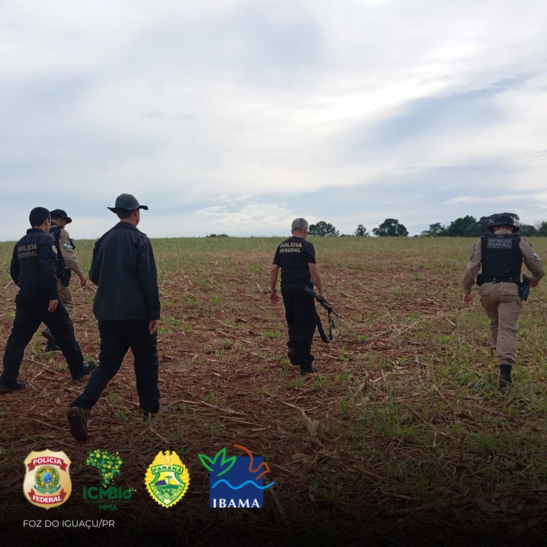 WhatsApp Image 2025-05-07 at 17.49.30.jpeg