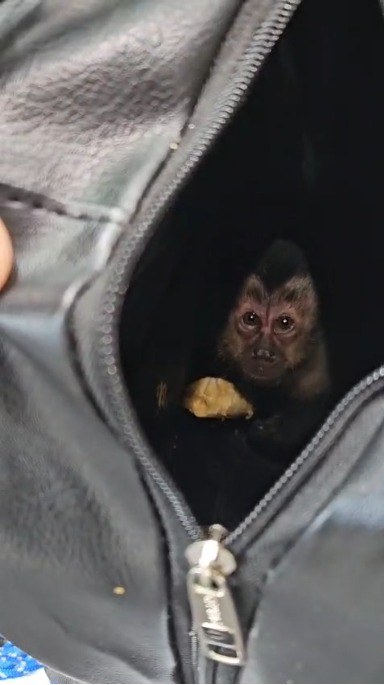 WhatsApp Image 2025-05-16 at 19.48.01.jpeg