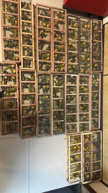 WhatsApp Image 2025-05-05 at 10.19.28.jpeg