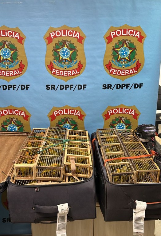 WhatsApp Image 2025-05-05 at 10.19.39.jpeg