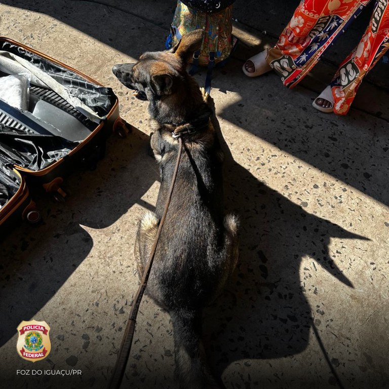 WhatsApp Image 2025-05-05 at 18.05.15.jpeg