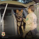 WhatsApp Image 2025-05-04 at 10.36.11.jpeg