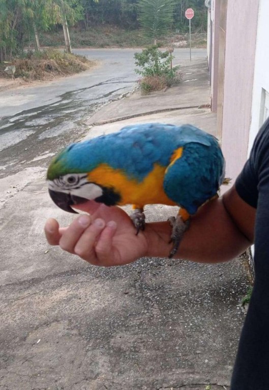 WhatsApp Image 2025-05-21 at 10.51.30 (1).jpeg