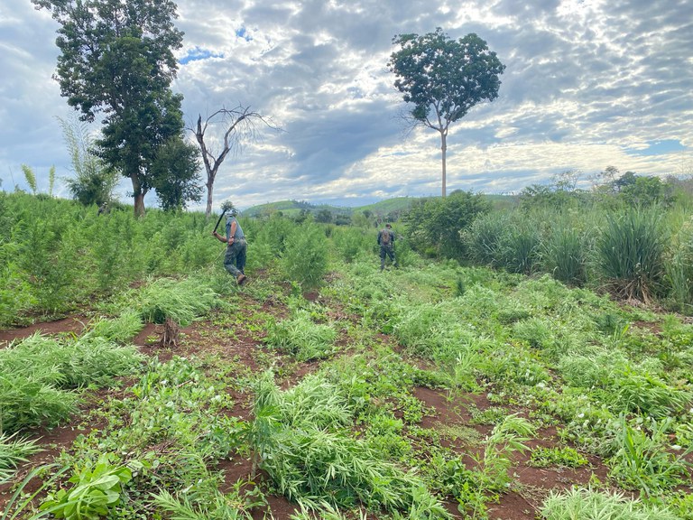 15f68a9a-3990-48aa-9c24-1b5e9e452ac2.jfif