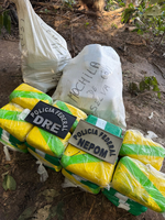 PF apreende 100kg de drogas em pista clandestina no Amazonas