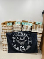 PF apreende mais de meia tonelada de skunk em caminhão no interior do Pará