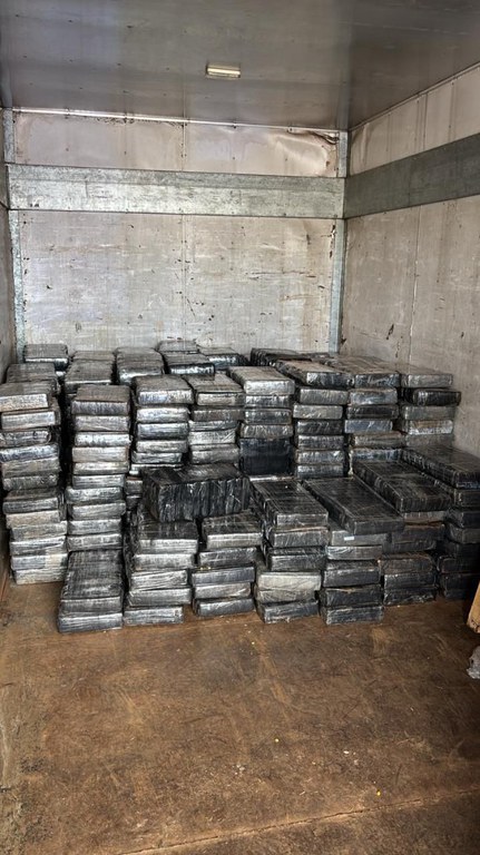 75a00f5f-4295-433f-9f4c-42a3d6946b0a.jfif