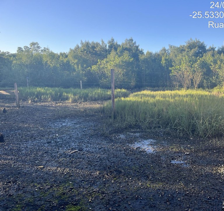 WhatsApp Image 2025-06-24 at 11.46.03.jpeg