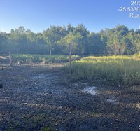 PF deflagra operação contra crimes ambientais em área de mangue