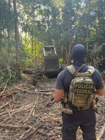 PF deflagra operação contra desmatamento ilegal em assentamento no oeste do Pará