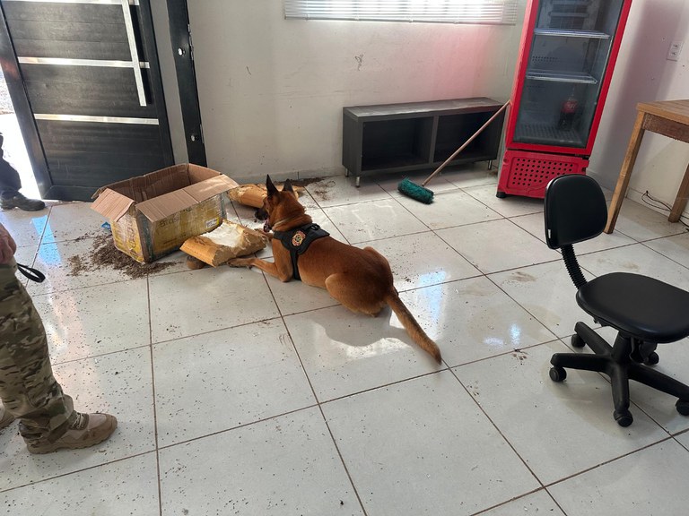 WhatsApp Image 2025-06-03 at 10.50.55.jpeg