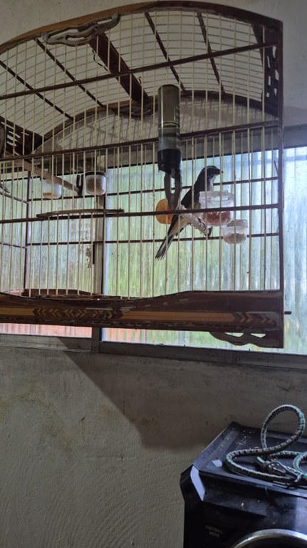 WhatsApp Image 2025-06-10 at 12.29.08 (1).jpeg