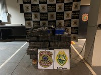 PF e BPFRON apreendem 898kg de maconha em Farol/PR