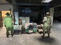 PF e BPFRON apreendem mais de 1.206kg de maconha na zona rural de Mercedes/PR