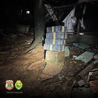 PF e PM apreendem carga de drogas nas margens do rio Paraná