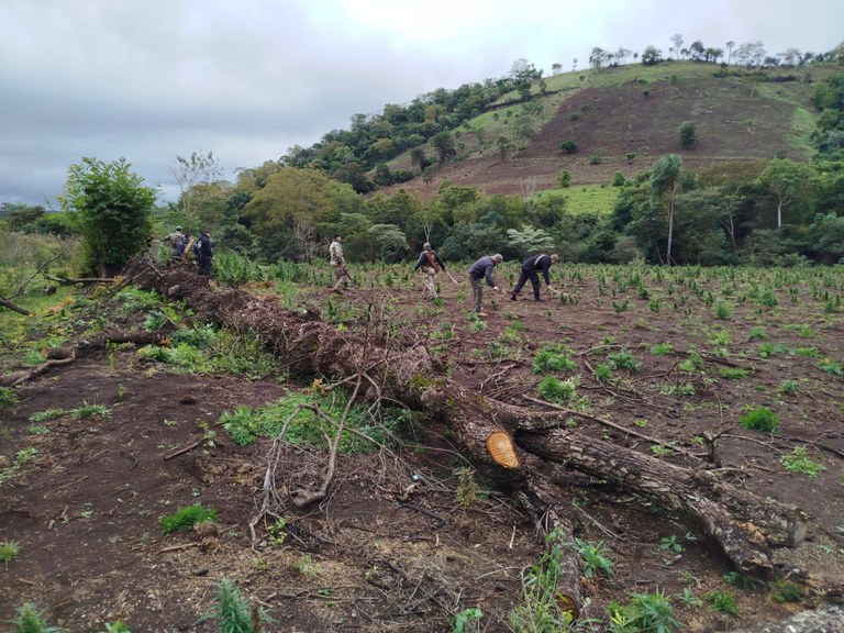 01867b0e-0368-475a-b364-a3ba75c990e2.jfif