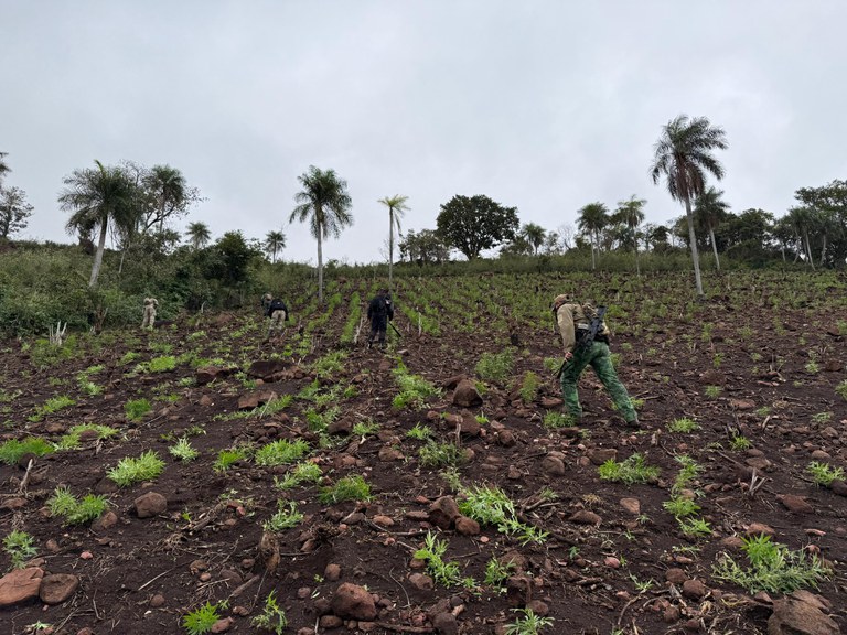 2f8d7c1b-98cd-4c75-89ff-beb6a0bfa1ab.jfif