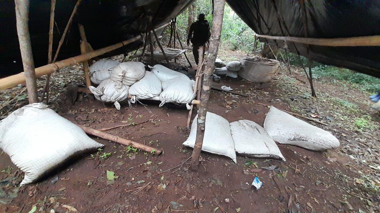 3739f243-dced-4f1d-a727-d05f998b24b6.jfif