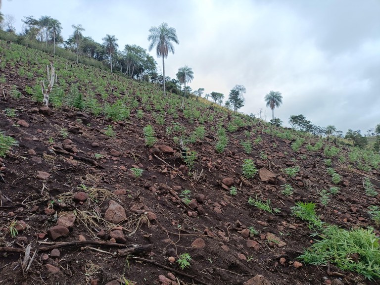 8d42db41-5d33-44a1-a370-d7549b258af0.jfif