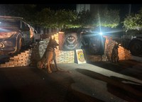 PF em ação conjunta apreende cerca de 450 kg de cocaína em Alto Garças/MT