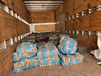 PF incinera 4 toneladas de drogas no Amazonas