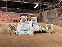 PF incinera 400 kg de drogas no Acre