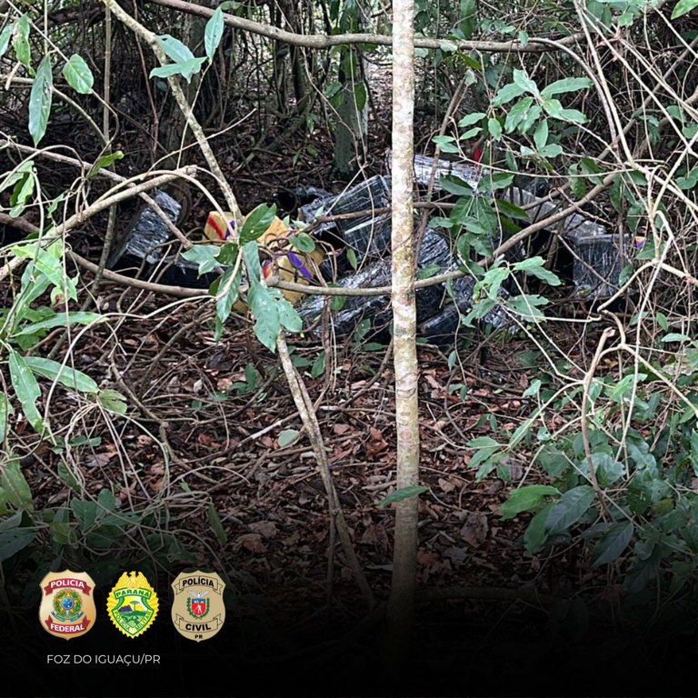 WhatsApp Image 2025-06-07 at 01.30.20 (1).jpeg