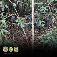 PF, PC e PMPR apreendem embarcações e mais de meia tonelada de drogas no lago de Itaipu