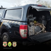 PF, PM e PC/PR apreendem mais de meia tonelada de entorpecentes na fronteira