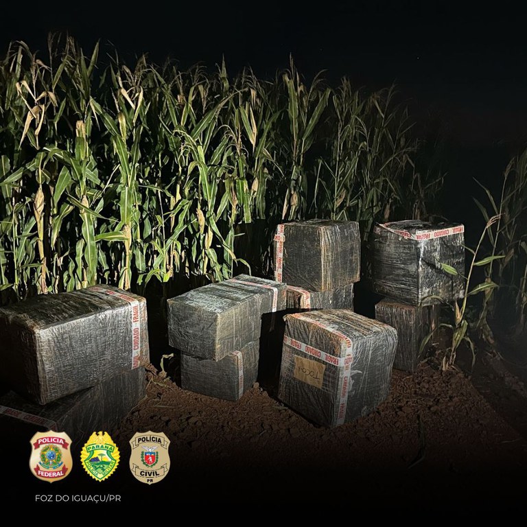 6ead3b3c-c03c-4092-8873-a479a4d37cf4.jfif