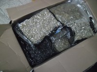 PF prende 13 pessoas no Aeroporto Internacional de São Paulo/Guarulhos