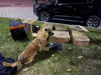 PF prende dois homens com mais de 200kg de drogas na Rodovia Presidente Dutra