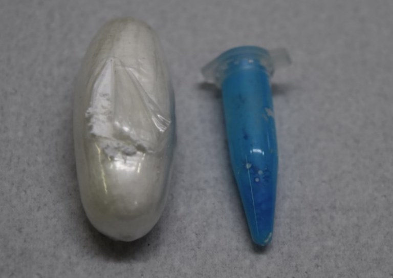 WhatsApp Image 2025-06-05 at 11.20.26.jpeg