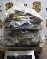 PF prende dois suspeitos por tráfico internacional de drogas no Aeroporto de Guarulhos